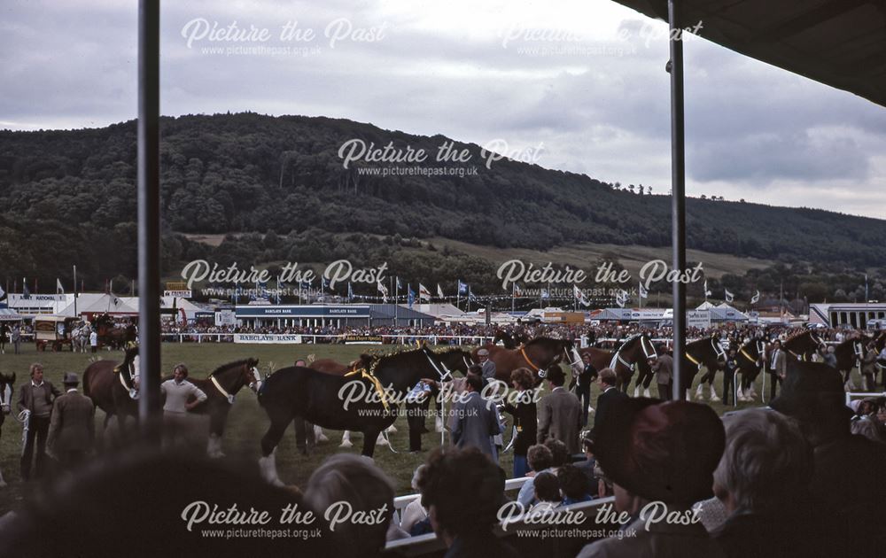 Horses, Bakewell Show, The Showground, Bakewell, 1983 Bakewell Show Bakewell Show