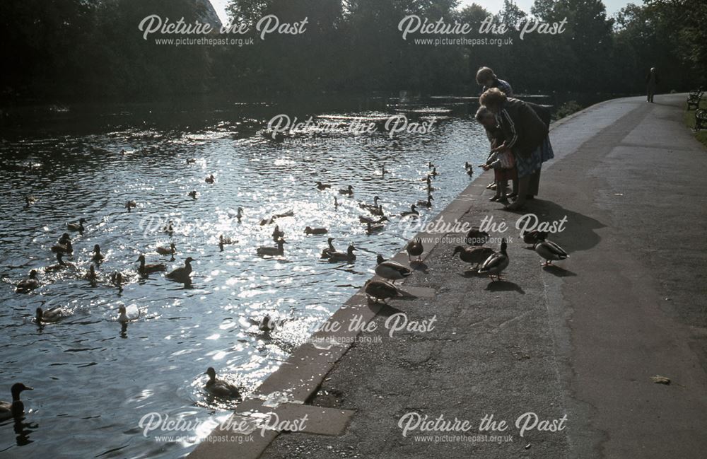 Feeding Ducks at Riverside, Bakewell, c 1970s