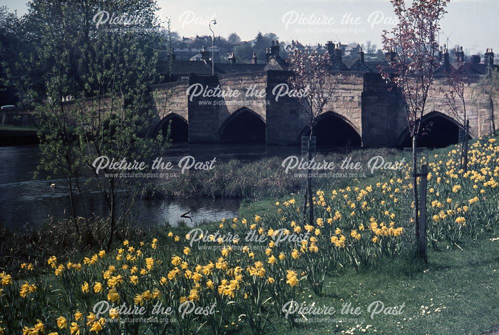 Bakewell Bridge and Daffodills, Bridge Street, Bakewell, c 1970s