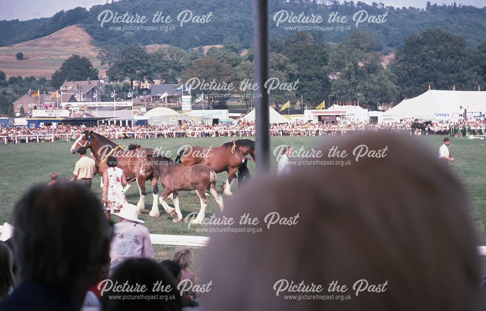 Shirehorses, Bakewell Show, The Showground, Bakewell, 1970