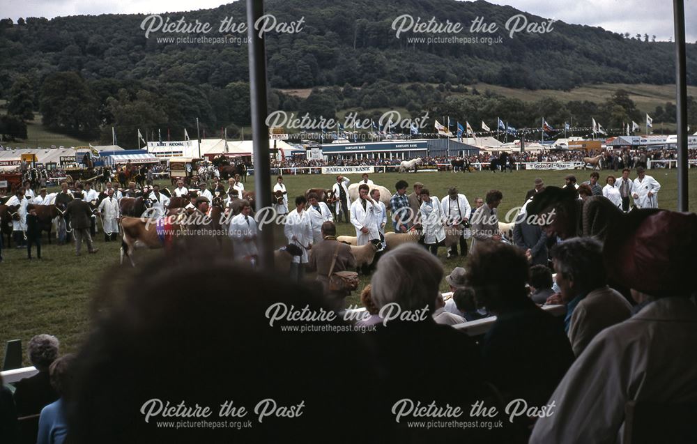 Livestock Parade, Bakewell Show, The Showground, Bakewell, 1983