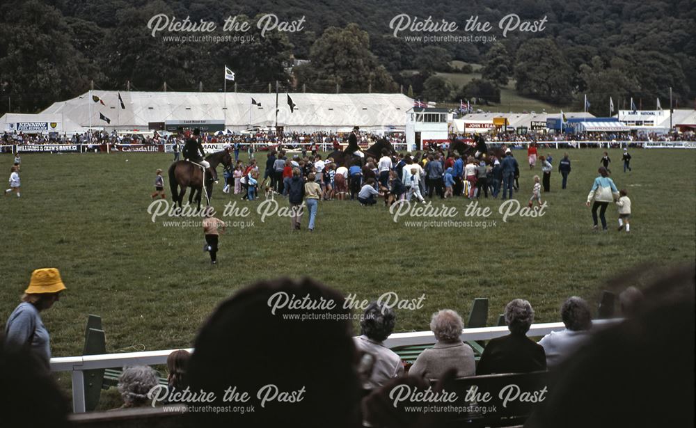 Hounds, Bakewell Show, The Showground, Bakewell, 1983