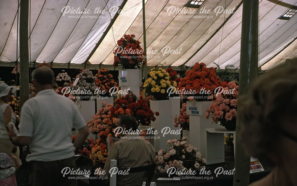 Flowers at the Bakewell Show, The Showground, Bakewell, 1975