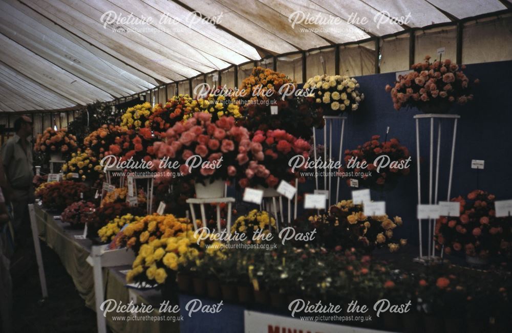 Flowers at the Bakewell Show, The Showground, Bakewell, 1983