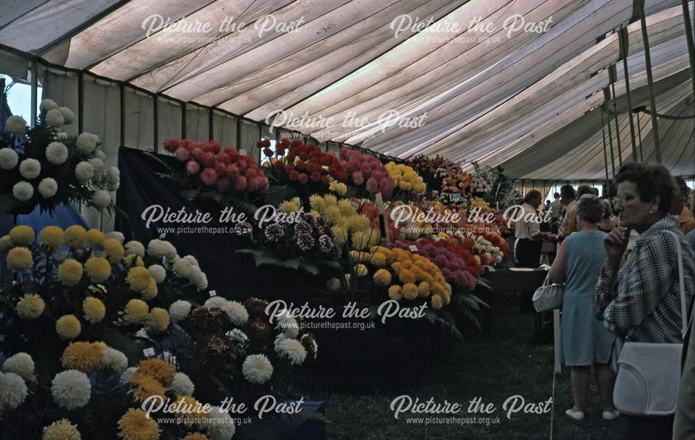 Flowers at the Bakewell Show, The Showground, Bakewell, 1975