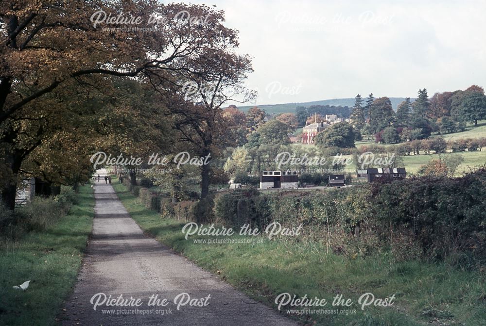 Hoar Frost's Magic Wand, Bakewell, 1978