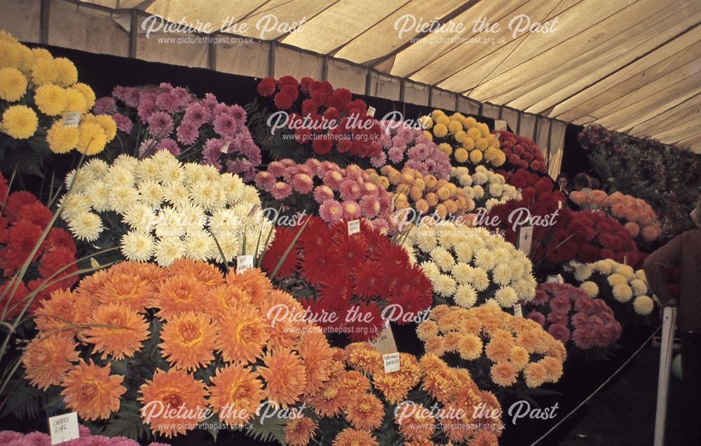 Floral Display at the Bakewell Show, The Showground, Bakewell, 1979