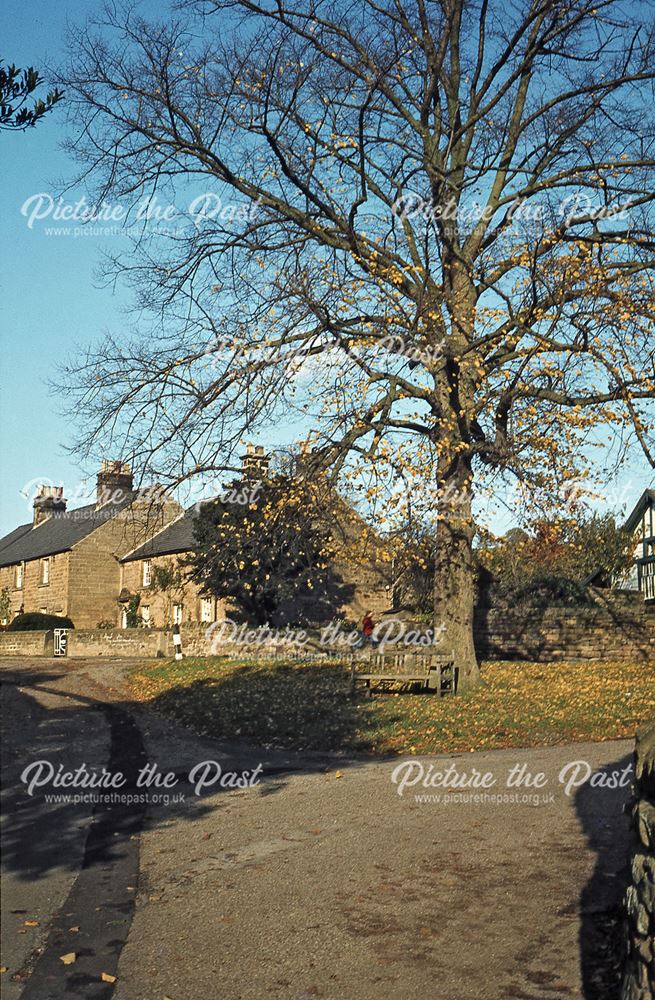 View of Beeley Village, Beeley c 1970s