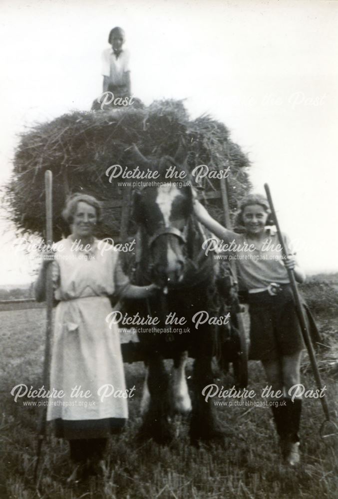 Hay Making on Blaggs Farm, Whitwell, c 1930's