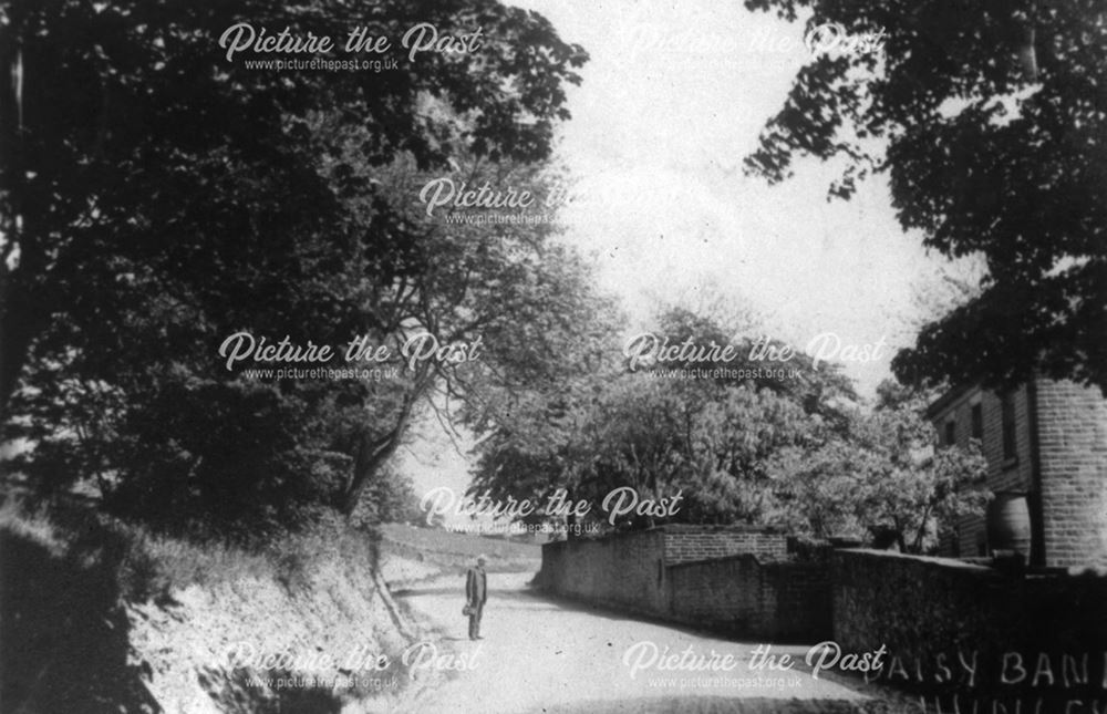 Daisy Bank, Chinley, c 1900s