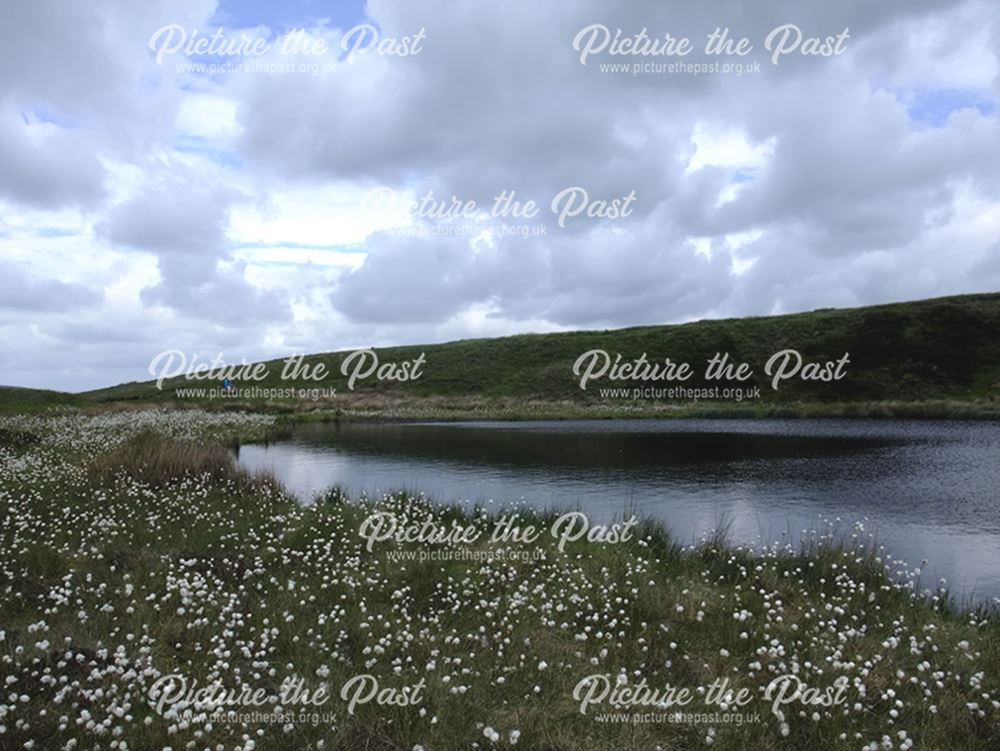 Mermaid's Pool, Blake Mere, Staffordshire, 2010