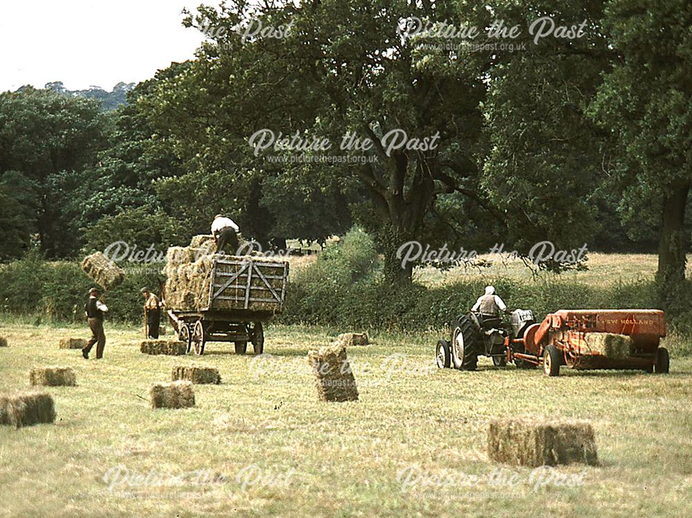Haymaking on Arthur Buckley's farm, Walton, Chesterfield, 1969.