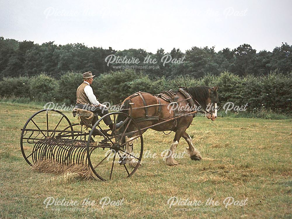 Hay Rake on Arthur Buckley's farm, Walton, Chesterfield, 1969.