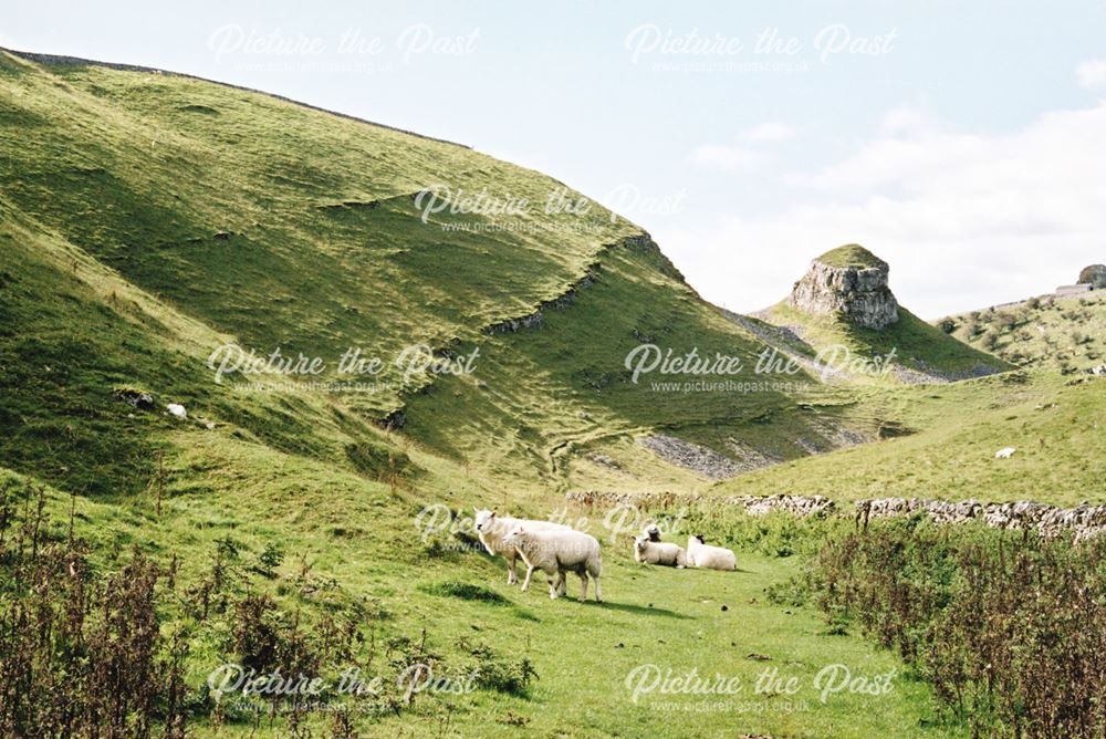 Peter's Stone, Litton, c 2000