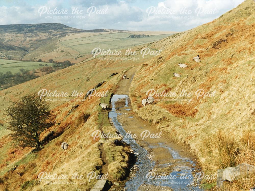 Taken on the cart track behind Hope going towards Edale, c 2000