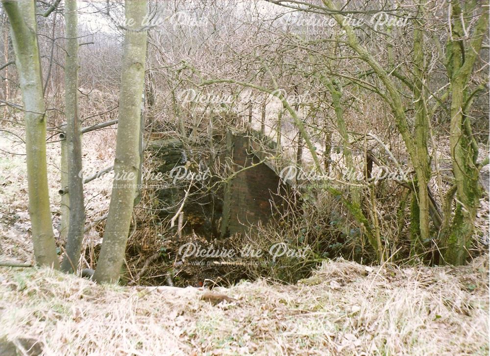 Site of Sheepbridge Works Railway Branch Lines, nr Broombank Industrial Park, Sheepbridge, 1994