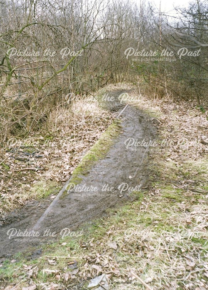 Site of Sheepbridge Works Railway Branch Lines, nr Broombank Industrial Park, Sheepbridge, 1994