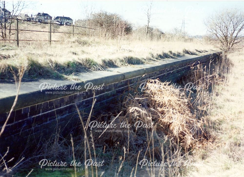 Remains of Staveley Works Station Platform, nr Station Road, Hollingwood, 1995