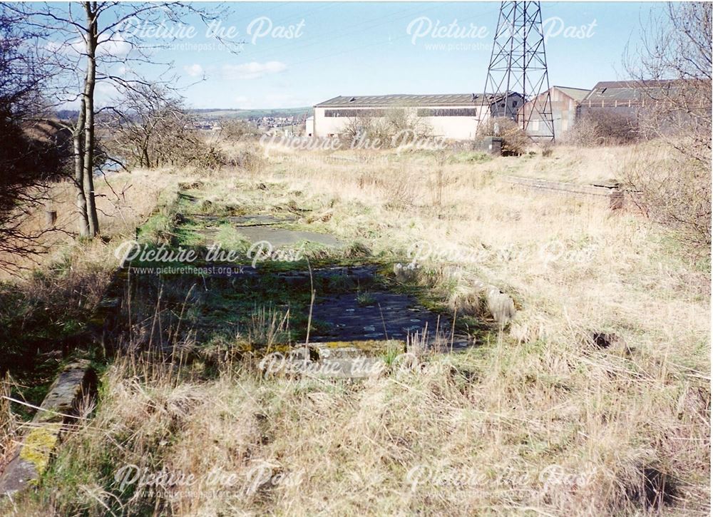 Remains of Staveley Works Station Platform, nr Station Road, Hollingwood, 1995