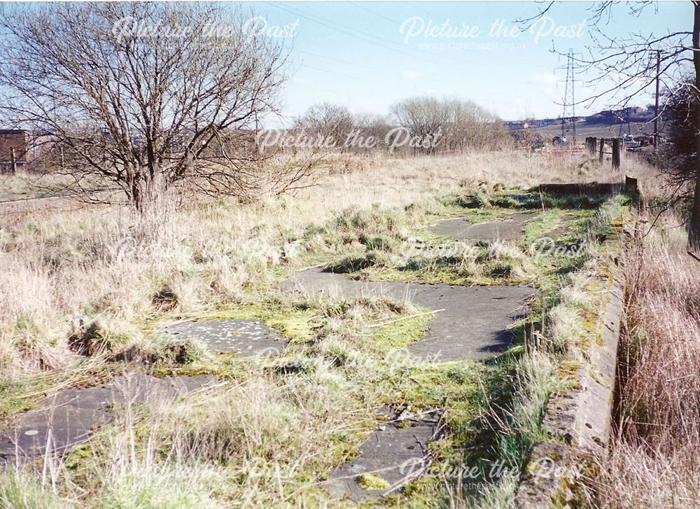 Remains of Staveley Works Station, Station Road, Hollingwood, 1995