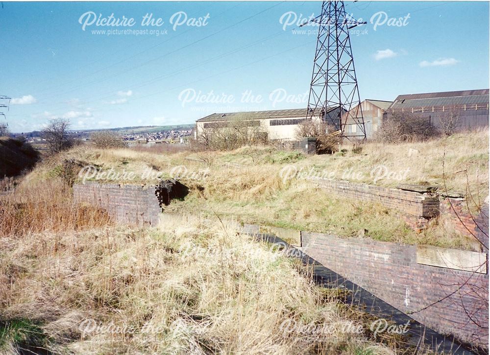 Remains of Staveley Works Station Beside Chesterfield Canal, nr Station Road, Hollingwood, 1995