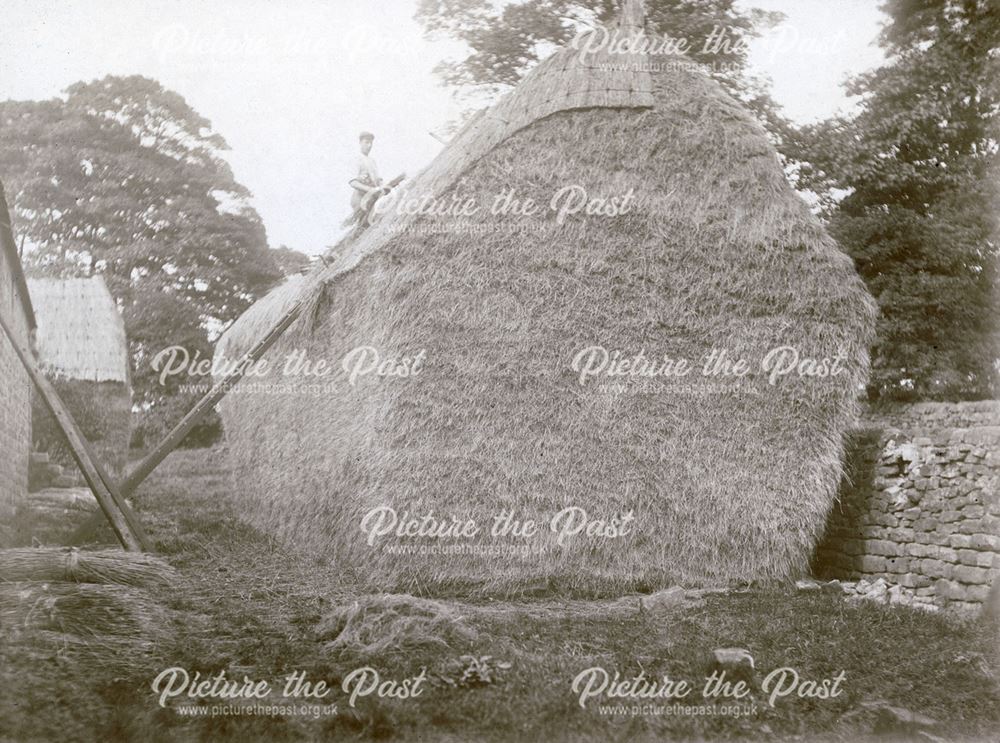 Haystack at Hurst Farm, Matlock, c 1905