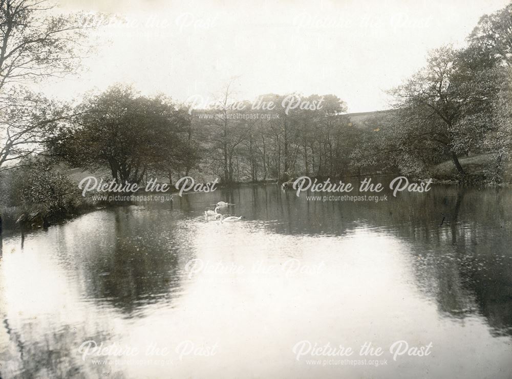 Millpond at Tansley Cotton Mill, Tansley, c 1905 ?