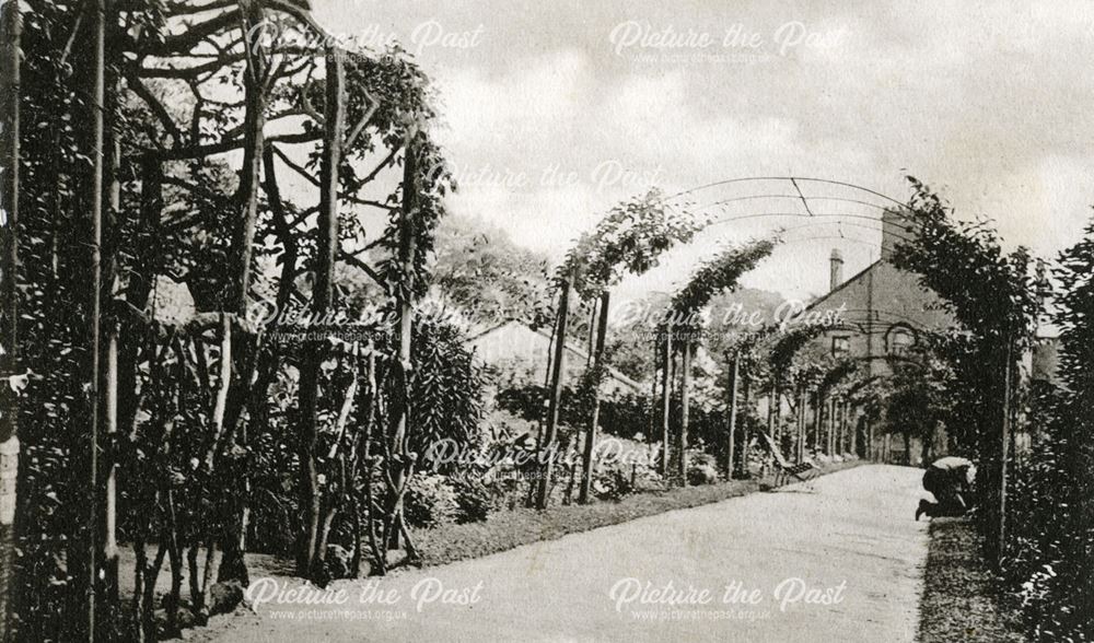 Garden of Chatsworth Hydro on Chesterfield Road, Matlock, c 1900s ?
