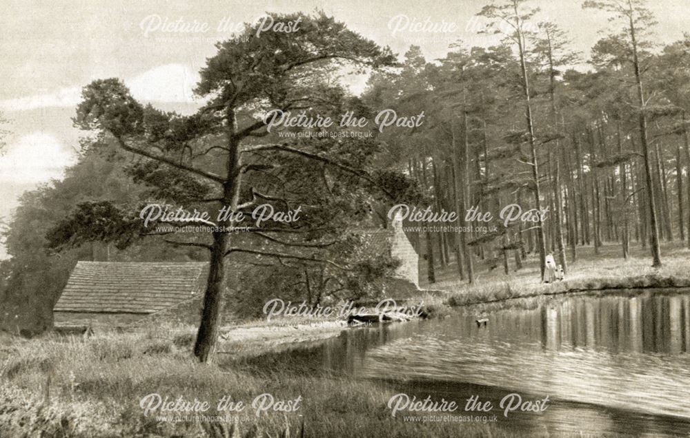 Mill Pond, Lumsdale, Matlock, c 1910