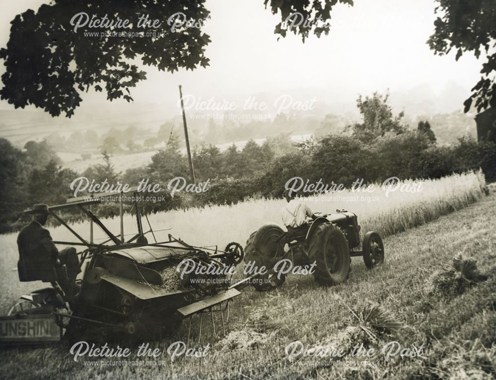 Tractor and binder harvesting, unknown location, c 1940s ?