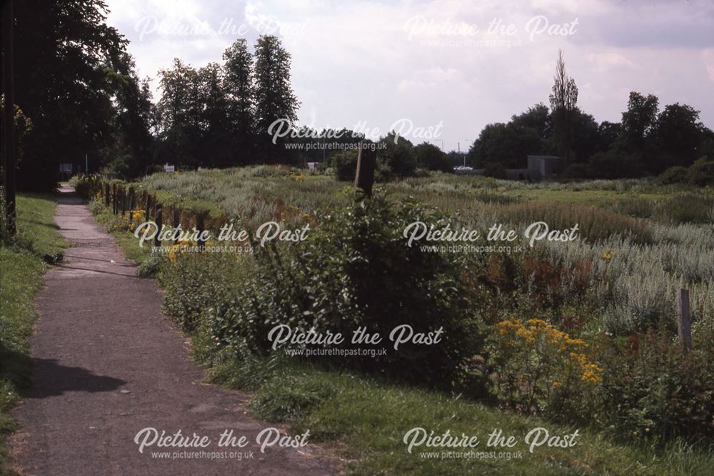 Waste Land Adjacent to Mill Gate; View to River, Newark, 1987