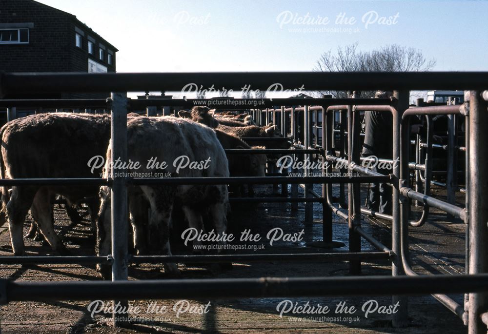 Cattle Pens, Cattle Market, Tolney Lane, Newark, 1990