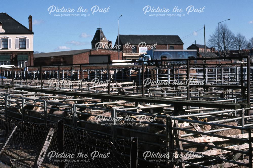 Sheep Pens with Cattle Behind, Auction Buildings, Cattle Market, Tolney Lane, Newark, 1990