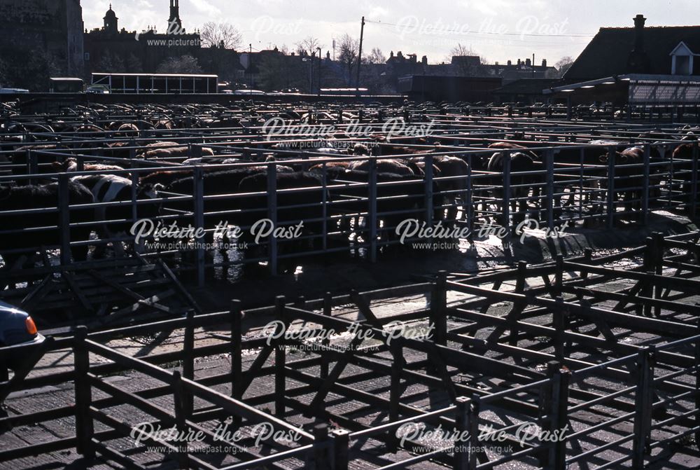 Cattle Pens from Great North Road, Cattle Market, Newark, 1990