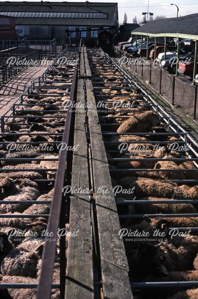 Sheep Pens from Great North Road End, Cattle Market, Newark, 1990