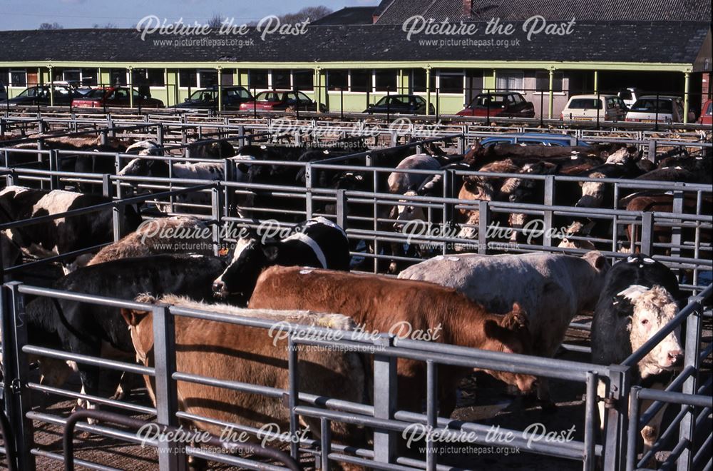 Cattle Pens After Auctioning, Cattle Market, Tolney Lane, Newark, 1990