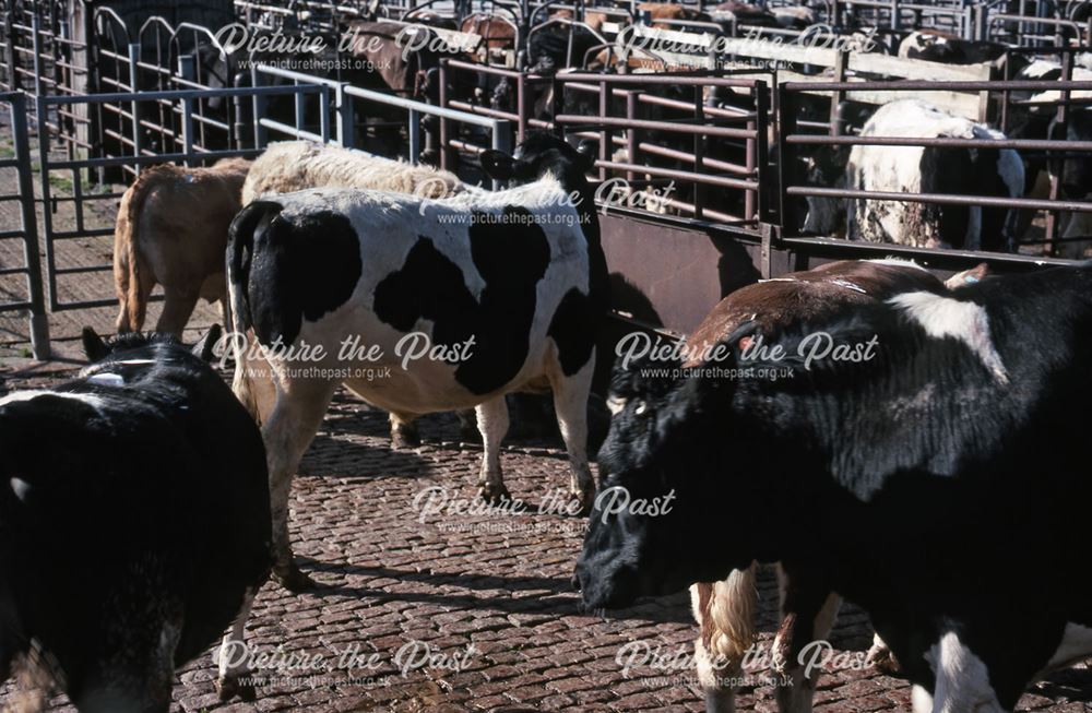 Cattle Pens After Auctioning, Cattle Market, Tolney Lane, Newark, 1990