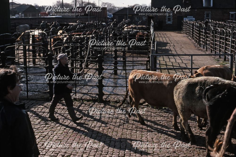 Cattle Pens After Auctioning, Cattle Market, Tolney Lane, Newark, 1990