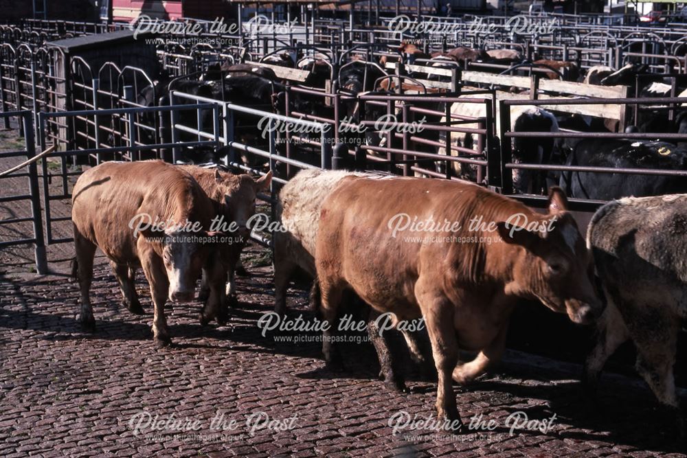 Cattle Pens, Cattle Market, Tolney Lane, Newark, 1990