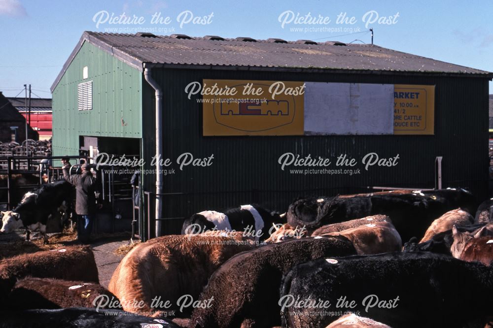 Cattle Auctioning Shed, Cattle Market, Tolney Lane, Newark, 1990