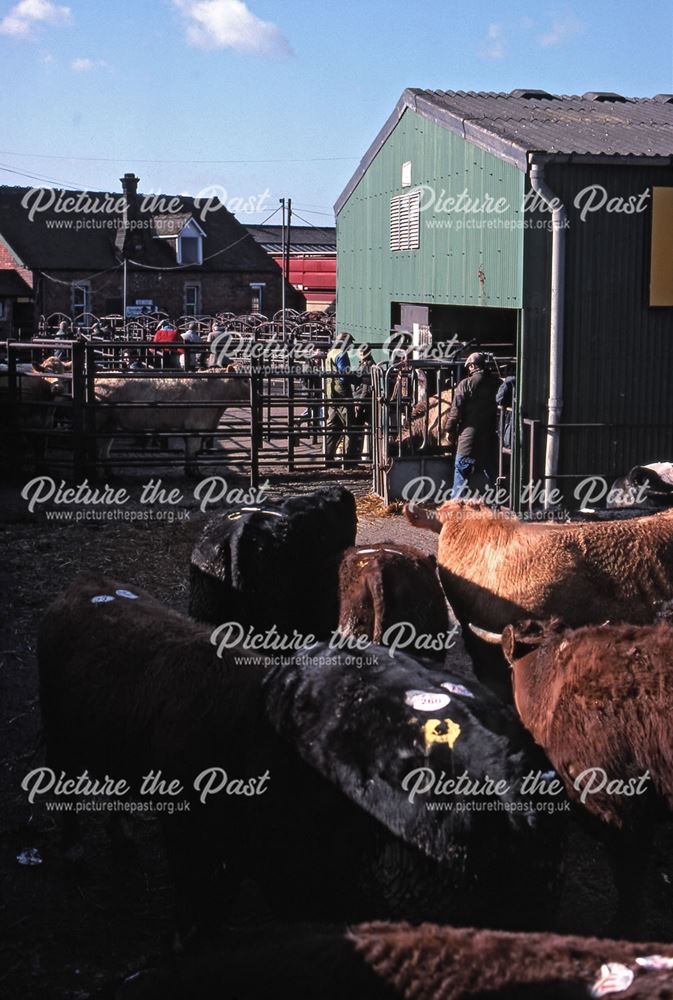 Cattle Auctioning Shed, Cattle Market, Tolney Lane, Newark, 1990