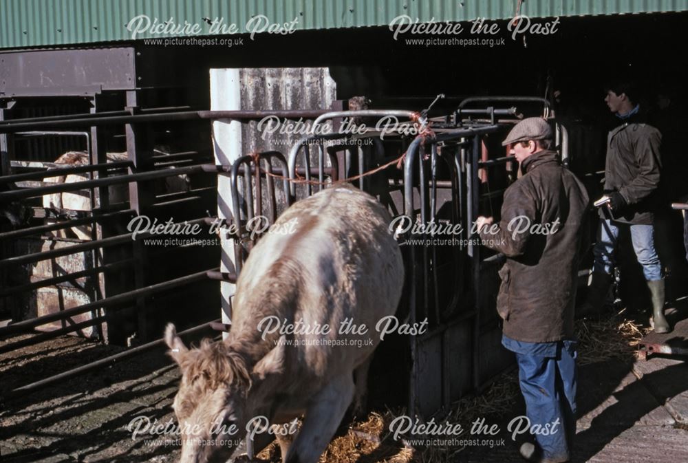 Cattle Auctioning Shed, Cattle Market, Tolney Lane, Newark, 1990