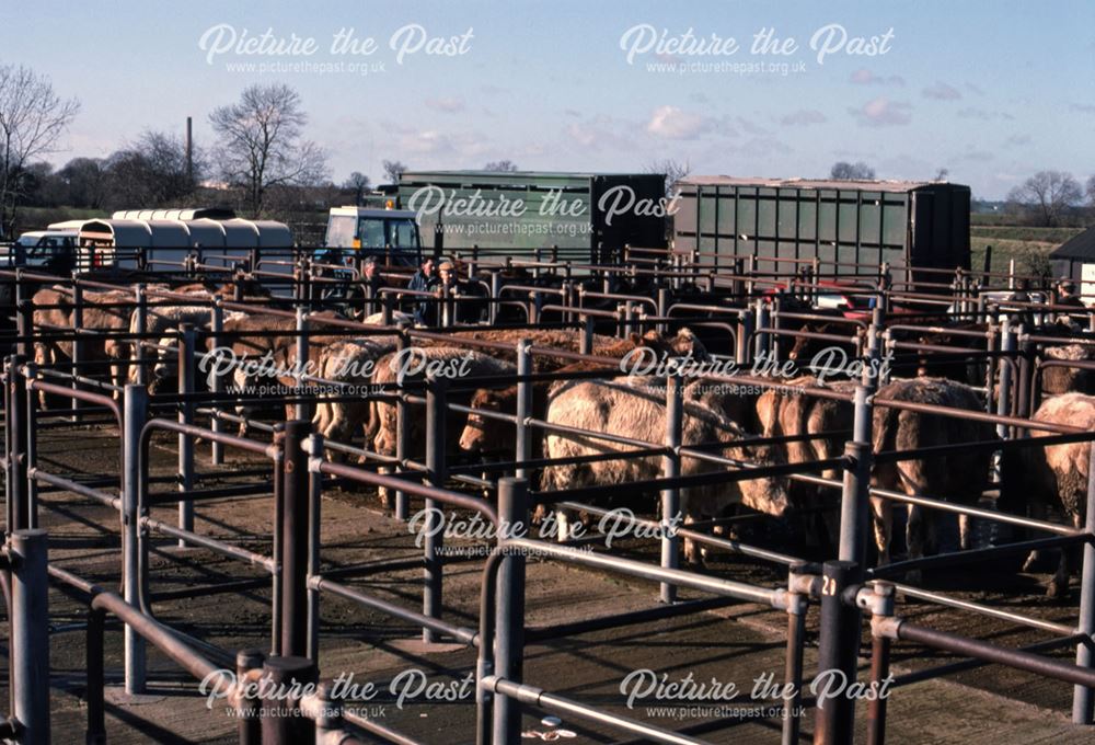 Cattle Pens, Cattle Market, Tolney Lane, Newark, 1990