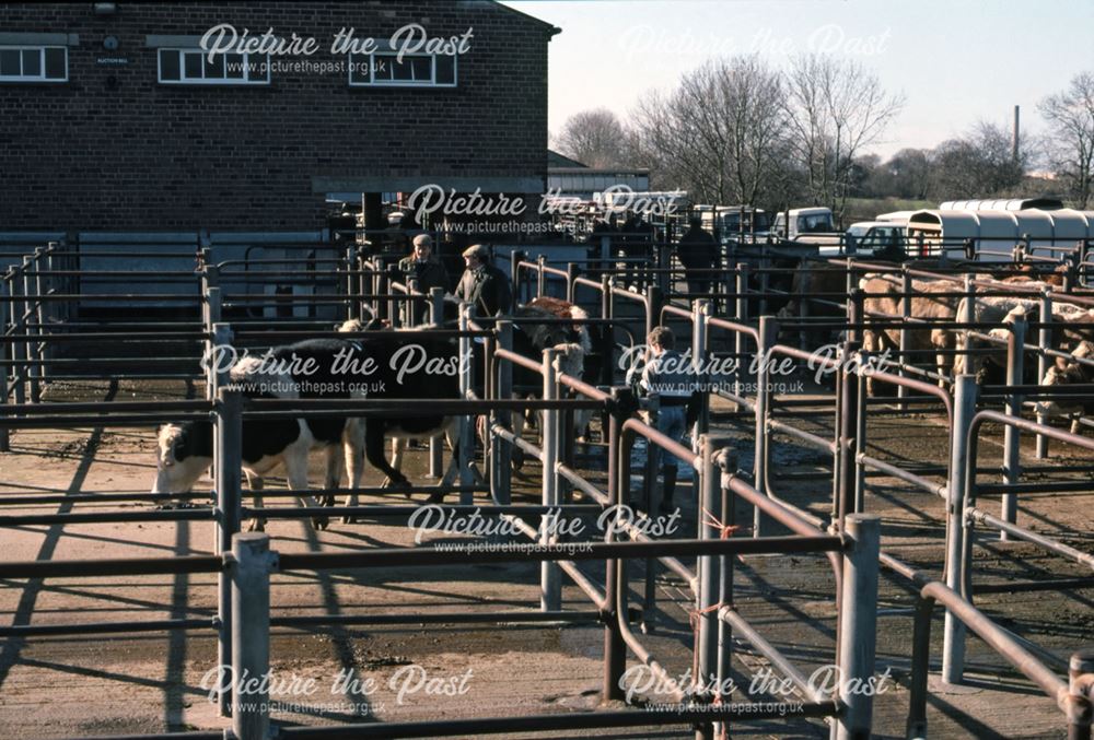 Cattle Pens, Cattle Market, Tolney Lane, Newark, 1990