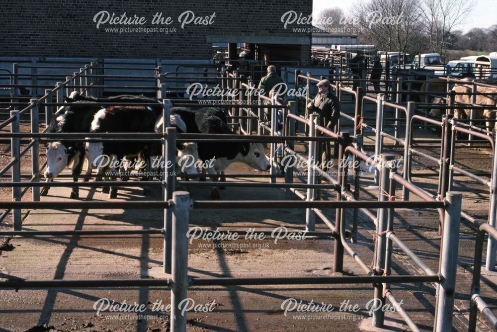 Cattle Pens, Cattle Market, Tolney Lane, Newark, 1990