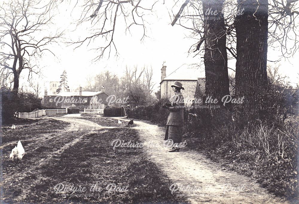 Lady Feeding Chickens, Holgate, Clifton Village, Nottingham, c 1920