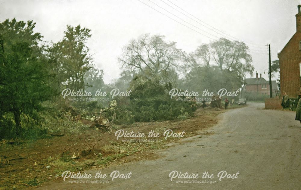 Clearance of Parkland Belonging to Muskham Grange, Main Street, North Muskham, 1963