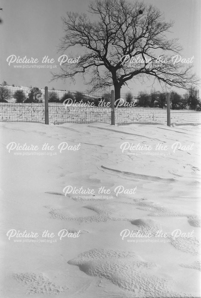 Snowly Field, Herbert Strutt School, Derby Road, Belper, c 1958