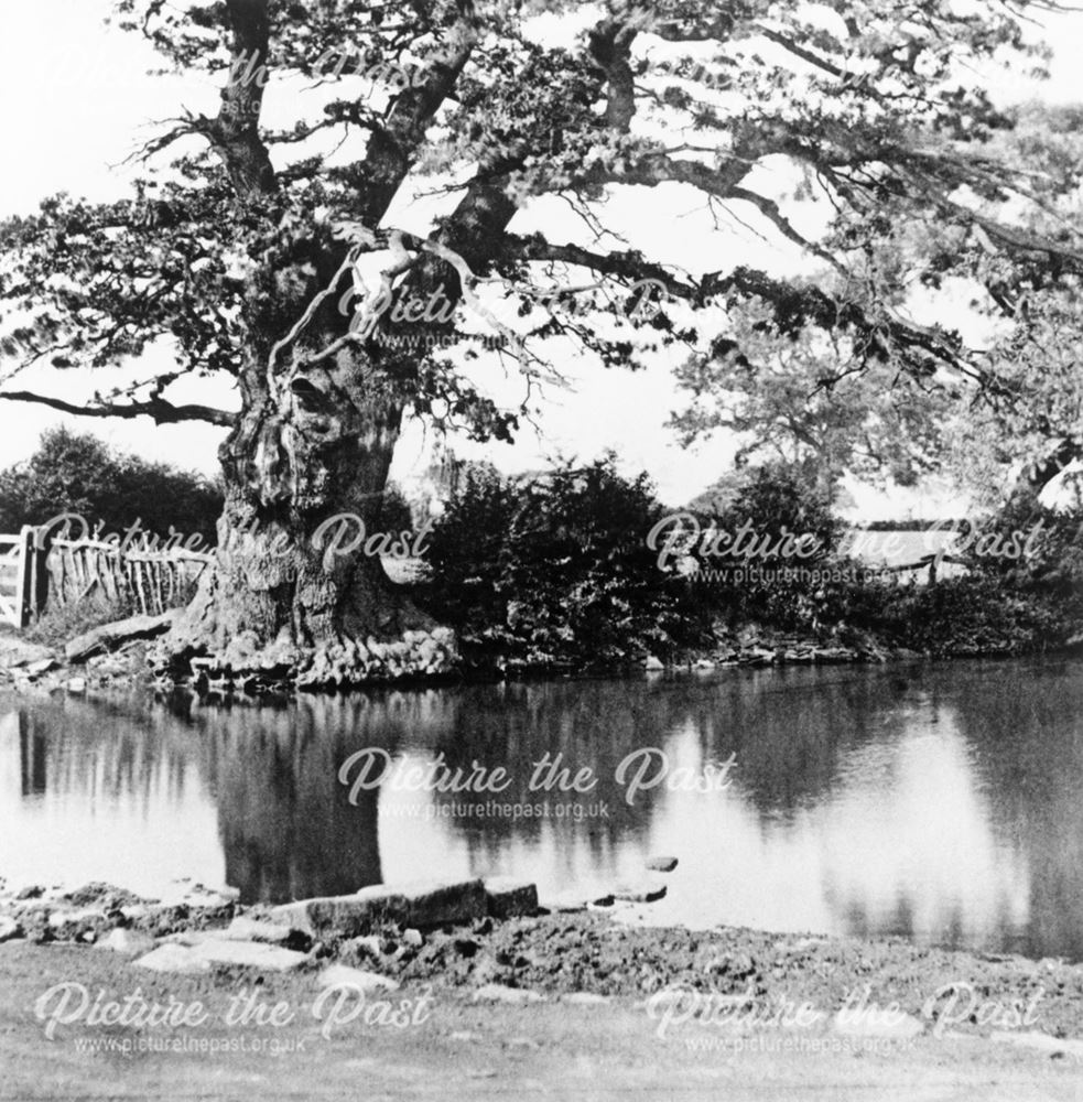 Kidsley Park Farm, Old Oak and Pond, Smalley, 1898