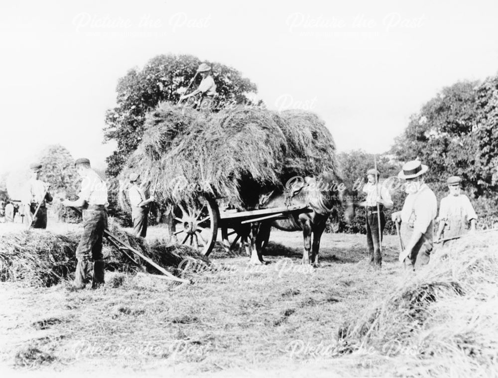 Hayloading at Flamstead (Farm?), Loscoe, 1898